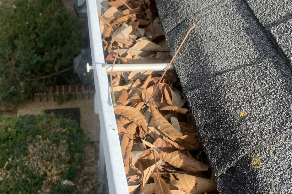 Gutter Cleaning Laplace