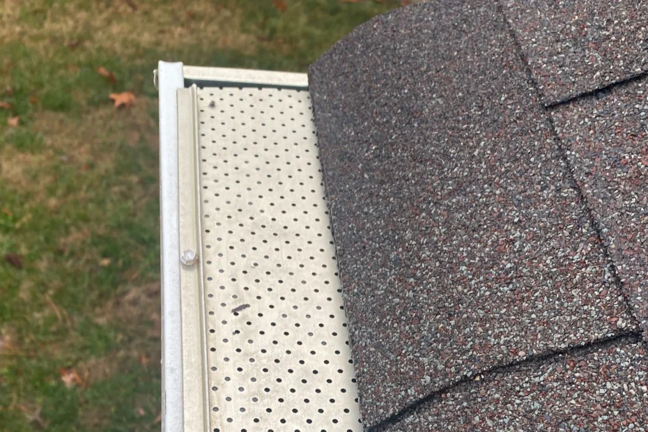 Gutter Cleaning Laplace